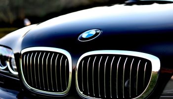 StockSnap_W3ZZSIZ551-scaled.jpg StockSnap_W3ZZSIZ551-scaled.jpg